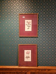 Original Hand-colored Engravings From Curtis's Botanical Magazine Matted & Wooden Framed 17 X 13.5  #73