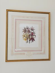 25 X 22.5 Beautiful Botanical Print In Beautiful Matted And Gold Giltwood Frame #127