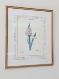 19.5 X 16.5 Beautiful Botanical Print In Beautiful Matted And Gold Giltwood Frame #128