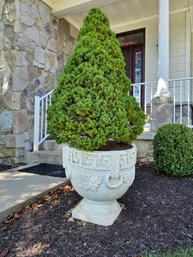 Large Vintage Greek Stone Planter 24' Tall With Tree 73' Tall #47