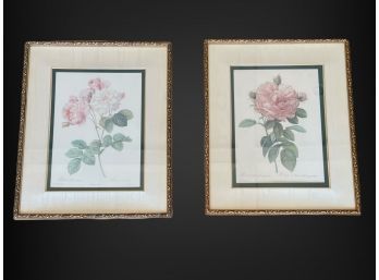 Pair Of Pierre Redoute Botanical Lithograph Prints Bombay Company Collection 23 X 28