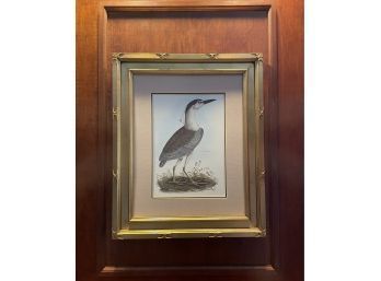 Beautiful Wall Art - Night Heron By Prideaux Selby 29 X 35