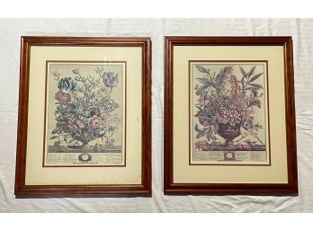 Matted And Framed Hand Colored Engravings By H.Fletcher 12 Months Of Flowers 'April & 'January' 24 X 20 #214 L