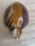 Beautiful Carved And Polished Stone Turtle, Vein Banding Through Etched Shell, Minor Crack Back Left Foot