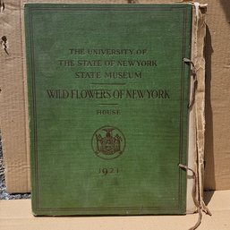 Wildflowers Of New York 1921 Hardcover