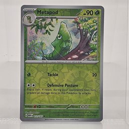 Metapod Reverse Holo Pokemon 151 Scarlet & Violet