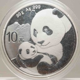 2019 Chinese Panda 10 Yuan 30g Silver Coin