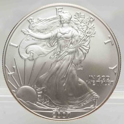 2007 1oz American Silver Eagle Coin