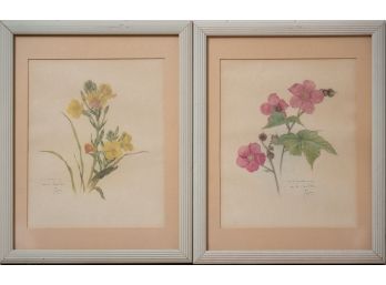 Floral Pair Of Wall Art On Paper 'Flowers'