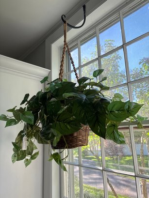 Faux Hanging Plant With Macrame Hanger #2