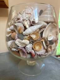 Jar Of Beautiful Shells