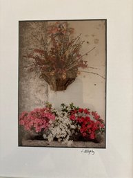 Three Framed Flower Photographs