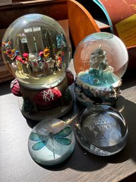 Snow Globes And Paperweights