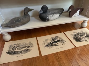 Wood Duck Decoy Trio And Woodblock Drawings