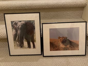 Framed Kenya Photos