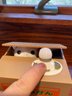 Adorable Mechanical Cat Coin Bank, Cat Comes Out And Takes The Coin!