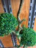 QUALITY 5 Foot Tall Faux Potted Boxwood Tree With Metal Trunk