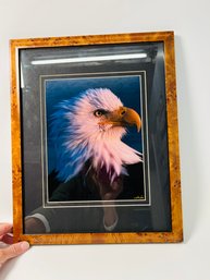 ' Golden Eye' Eagle Photograph By Jasper James, Framed & Matted