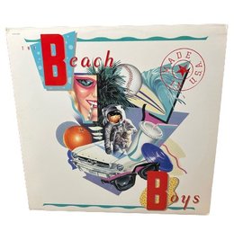 Beach Boys Made In The USA Record Album, 2 Records