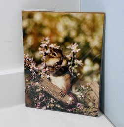 Large 8x10 Photograph Of A Chipmunk