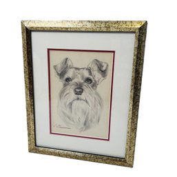 P. Grassman Signed Sketch Of A Schnauzer Dog, Framed & Matted