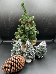 Some Extra Holiday Winter Decor - Evergreen Trees & Sparkly Pinecone