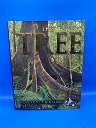 The Tree: Wonder Of The Natural World By Jenny Linford - Beautiful Natural History Coffee Table Book