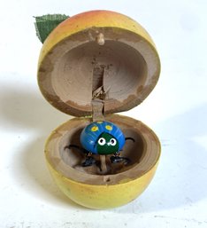Adorable Jitterbug Beatle In Wooden Apple