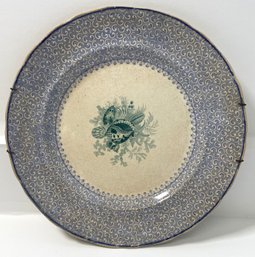 Rare Conchology Blue And White Antique Plate