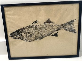 Vintage Fish Art Work On  Paper Framed