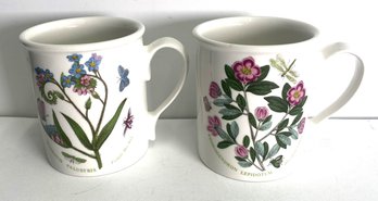 The Botanic Garden Collection: Portmeirion, Made In England Pair Of Mugs