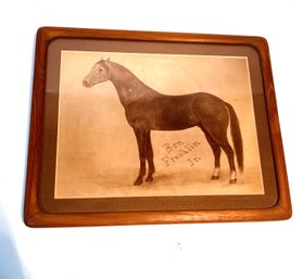 Ben Franklin Jr: Titled Horse Print In Wooden Frame