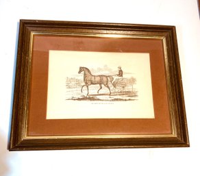 Champion Black Hawk Equestrian Antique Print, Framed & Matted