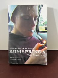 Amish Rumspringa Book