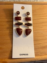 Brand New Express Earrings