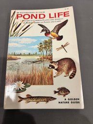 Pond Life - A Golden Nature Guide By George Reid (Golden Press 1967)