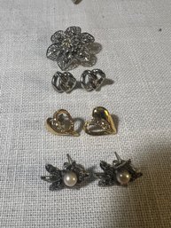 Assorted Earring And Pin