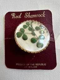 Real Shamrock Resin Brooch Vintage