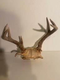 Authentic Deer Antler Decor 1 Of 4 Hunting Farmhouse