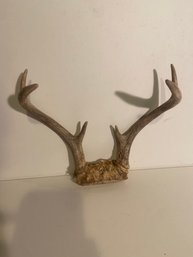 Authentic Deer Antler Decor 2 Of 4 Hunting Farmhouse