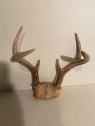Authentic Deer Antler Decor 3 Of 4 Hunting Farmhouse