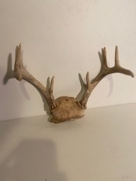Authentic Deer Antler Decor 4 Of 4 Hunting Farmhouse