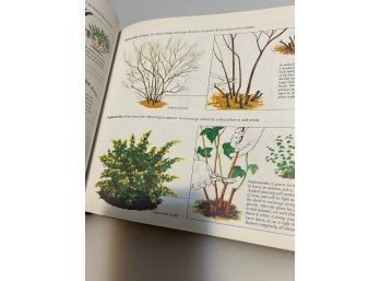 Readers Digest Illustrated Guide To Gardening Hardcover Oversized