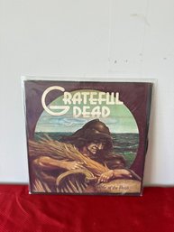 Wake Of The Flood Studio Album By Grateful Dead