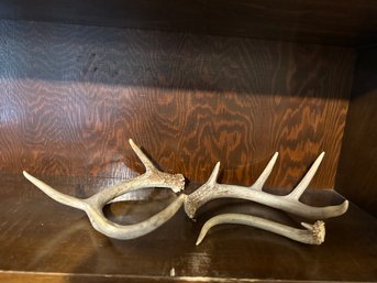 Lot Of 3 Antlers