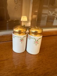 Antique Handpainted Porcelain Salt & Pepper Shakers