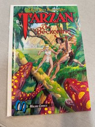 Tarzan Comic Book