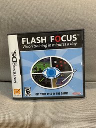 Nintendo DS Video Game Flash Focus