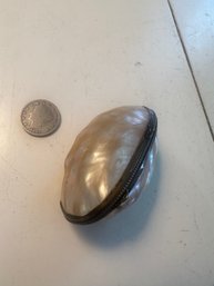 Vintage Mother Of Pearl Coin Purse