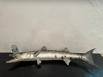 Taxidermy Barracuda Wall Mount Fish